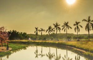 Những bài thơ hay về tình yêu quê hương đất nước 